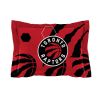 Raptors OFFICIAL NBA "Hexagon" Full/Queen Comforter & Shams Set;  86" x 86"