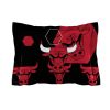 Bulls OFFICIAL NBA "Hexagon" Full/Queen Comforter & Shams Set;  86" x 86"